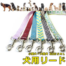 リード 犬 ペット 散歩 伸縮リード 小型犬 中型犬 大型犬 カジュアル おしゃれ 持ちやすい お出かけ 訓練 トレーニング 迷子防止 ファッションリード 犬用品 ペットグッズ メール便