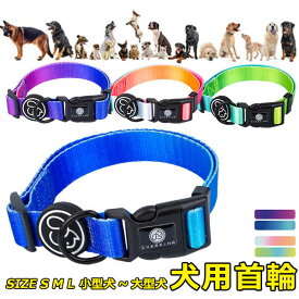 首輪 犬用 中型犬 大型犬 小型犬 ペット カラフル グラデーション イヌグッズ ドッグラン おしゃれ かわいい お散歩 脱着簡単 衝撃吸収 トレーニング 外出 お洒落 安全 メール便