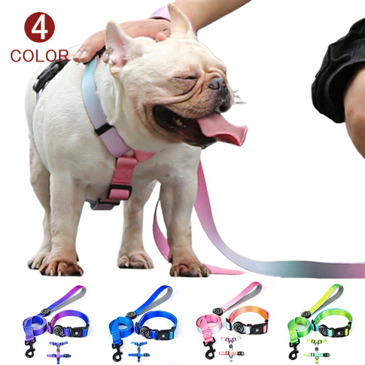 楽天市場 ハーネス リード 胴輪 首輪 犬用 中型犬 大型犬 小型犬 スプリング ペット 8の字ハーネス 通気性 リード ハーネスセット ドッグラン おしゃれ かわいい お散歩 脱着簡単 衝撃吸収 トレーニング 外出 お洒落 安全 即納 メール便 Ty Shop