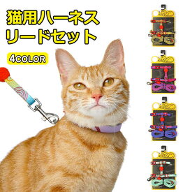 ハーネス リード 胴輪 首輪 猫用 ねこ ネコ 猫 キャット スプリング ペット 8の字ハーネス 通気性 リード ハーネスセット ドッグラン おしゃれ かわいい お散歩 脱着簡単 衝撃吸収 トレーニング 外出 お洒落 安全 メール便