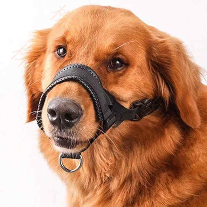 楽天市場 お散歩口輪 犬用 ペット 口輪 噛みつき 無駄吠え 防止 犬用ウェア 噛み癖防止 拾い食い防止 通気性 中型犬 大型犬 安心 トリミング トレーニング 傷舐め防止 メール便 Ty Shop