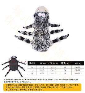  ̕ nEB N w  ybgp hbOEGA LbgEGA Ckp lRp RX`[ RXv ߑ ϑ  nEBϐg p L Lp ʐ^LO Be 