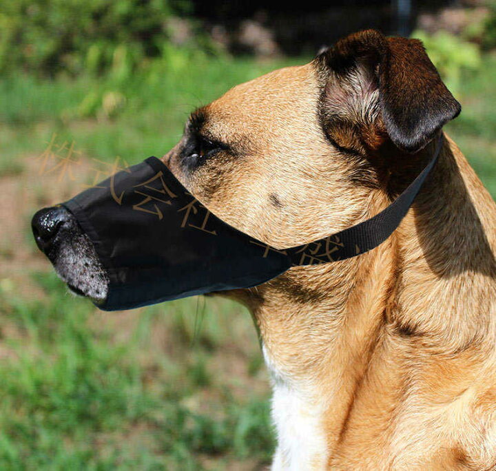 楽天市場 同色3枚セット お散歩口輪 犬用 ペット 口輪 噛みつき 無駄吠え 防止 犬用ウェア 噛み癖防止 拾い食い防止 通気性 中型犬 大型犬 安心 トリミング トレーニング 傷舐め防止 a Ty Shop