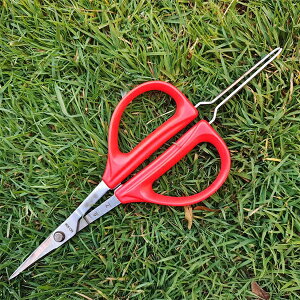 |p͂ XeX sZbgt Z`[g ΂ Ԃǂ Ԃǂ؂͂ @\ʕE݂͂݁AA؃nT~ XeXԂǂ؂΂