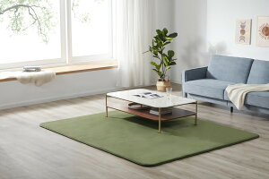 J[ybg O zbgJ[ybg ᔽ O}bg ͂ Ɍ20mm RۖhL 200×140cm  ~ 􂦂 p^  g[  hJr h_j I[V[Y }CNt@Co[