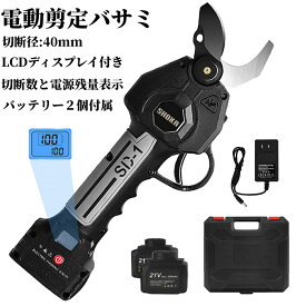 期間限定P20倍★電動バサミ 充電式 剪定ばさみ バッテリー2個付き 電源残量表示 40mm切断径 電動ばさみ 二つブレード連動するタイプ ブラシレスモーター搭載 延長ロッド 枝切り電動はさみ 庭木果樹用 剪定鋏園芸用剪定