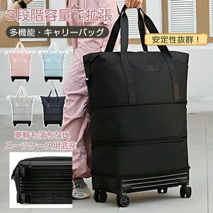 iŁ^{XgobO sobO fB[X Y LX^[t g\ Cws w s y e  23 傫 s e L[I X|[c 킢 ܂