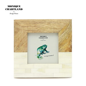 ʐ^ tHgt[  킢 I AeB[N i`  Ǌ| Mtg a v[g PHOTO FRAME-ENA