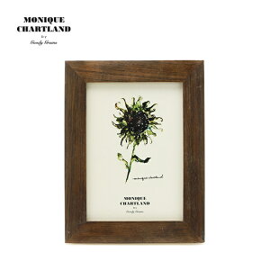 ʐ^ tHgt[  킢 I AeB[N i`  Ǌ| Mtg a v[g PHOTO FRAME-EMEL