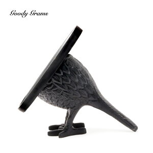   k AeB[N  킢 X^h ~[ ʏ fXN bird mirror