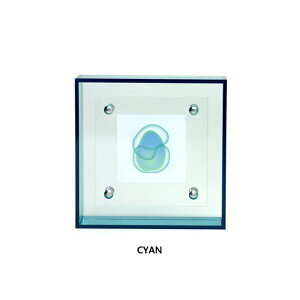 tHgt[ ʐ^ AN  킢 j LOi oY  v[g THRU.(X[)LIGHT 4x4