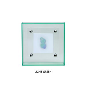 tHgt[ ʐ^ AN  킢 j LOi oY  v[g THRU.(X[)LIGHT 4x4