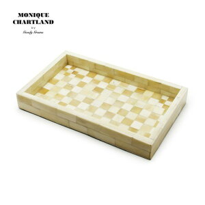 gC ^[P[X  ANZT[ u u WG[gC WG[g[ g[ AeB[N  v fXNg[ ANZT[ [  X܏Y Goody Grams TRAY 