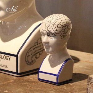 IuWF u wbhf _  l p[c CeAG  G I l g AeB[N i Goody Grams Add THE PHRENOLOGY-S