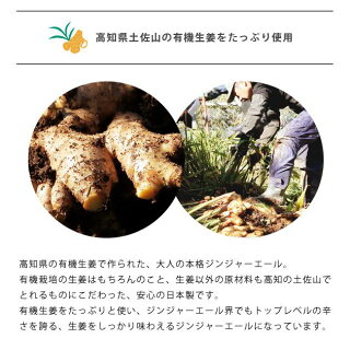 MAMCAFE/MAMGINGERALE-STRONGマムカフェジンジャーエールオーガニック有機栽培国産日本製しょうが生姜炭酸飲料