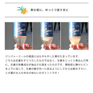 MAMCAFE/MAMGINGERALE-STRONGマムカフェジンジャーエールオーガニック有機栽培国産日本製しょうが生姜炭酸飲料