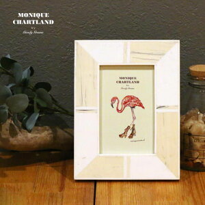 ʐ^ tHgt[ zCg   ̓ Ǌ| AeB[N ʐ^ |XgJ[h ͂ nKL KG a o^C v[g Mtg 蕨 ʕi ii Goody Grams 