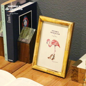 ʐ^ tHgt[ טg  ̓ AeB[N CeA ʐ^ TXeiu TXeBiu AWA o^C v[g ͂ nKL KG Mtg 蕨 