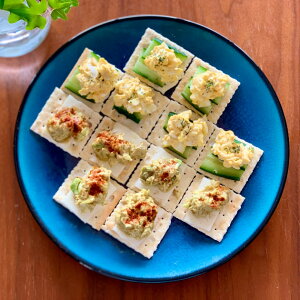 gfBVAR[XeBbN TRADITION ACOUSTIC BLACK AND BLUE 245PLATE M    24.5cm _ k  JtF mH pX^M J[M H fBi[v[g fU[gv[g