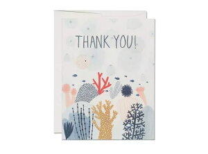 O[eBOJ[h o[Xf[J[h bZ[WJ[h NX}XJ[h C j a ̓ ̓  oY Red Cap Cards bhLbvJ[h [։ CORAL REEF THANK YOU