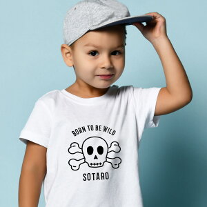  TVc j̎q ̎q q LbY xr[ hN KCRc XJ NX{[ O a j oYj v[g Mtg  킢