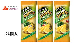 ԏƁ@lȃKKN S[fpC@y100ml×24{zXف@ACXN[@ikCEB͏ꗣsj