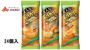 ԏƁ@lȃKKN n@y100ml×24{zXف@ACXN[@ikCEB͏ꗣsj