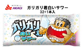 赤城乳業　ガリガリ君白いサワー　32+1本　氷菓　アイスクリーム