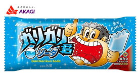 赤城乳業 ガリガリ君ソーダ 105ml×33+1本　氷菓　アイス　送料無料（北海道・九州は除く沖縄離島発送不可）