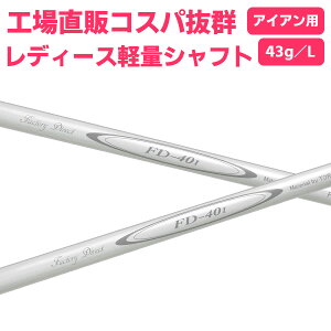 Vtĝ݁ACAp FD-40 ACApVtg Pi̔EfB[X p O V[g LFỹStz