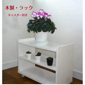 LX^[tbN ϗtA [{bNXԑ t[X^h ؐ S LX^[ti |bN60cms30cm60cmFFEi`i iI[_[TCY\