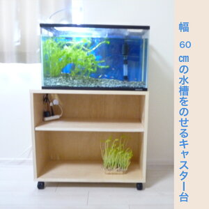  60cm Mы 󒍐 I[_[ChLX^[tbN i 65cms35cm57cmFFi`i(fށFWށE18mmj zǁEzXy[X]ɂI1