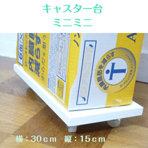 LX^[t ~j~j15cm×30cmEؐEȃXg[uLX^[ ϗtA S~ r[ ybg{g炭炭ړ ړCeA ~́@R@ނ  