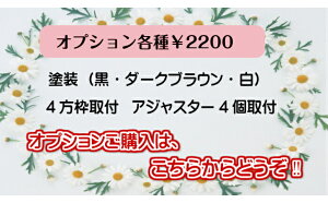 IvVei2200j E_[NuEh KiOTCY4gtI1ǉRZgt10cmȏ{̂̃IvVƂĂw