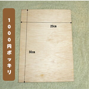 y1000~|bL zJbgxj@A4ŃTCY DIY G SyH R jH20cm×30cm×1.2cm