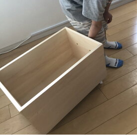 楽天市場 収納ボックス 奥行50cmの通販