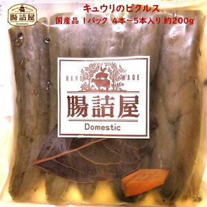 y Y Y LE  sNX z1pbN 250g  O Y H [H  t킹 Â h _ς  ӉZ |Ђ  n \[Z[W  l