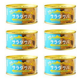 【 サラダ サバ 油漬け あっさり 塩 味 1缶 固形量 110g 総量 170g 】6缶セット 簡易梱包 木の屋 石巻水産