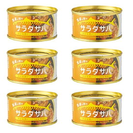 【 サラダ サバ 油漬け こくうま みそ 味 1缶 固形量 110g 総量 170g 】6缶セット 簡易梱包 木の屋 石巻水産