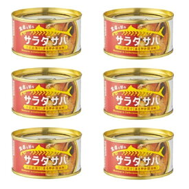 【 サラダ サバ 油漬け まろやか しょうゆ 味 1缶 固形量 110g 総量 170g 】6缶セット 簡易梱包 木の屋 石巻水産