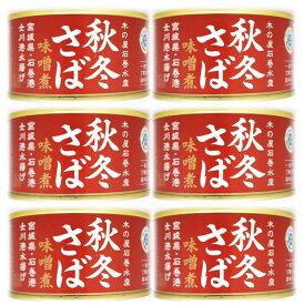 6缶セット 国産 秋 冬 サバ 味噌煮 1缶 固形量 110g 内容量 170g 木の屋 石巻水産