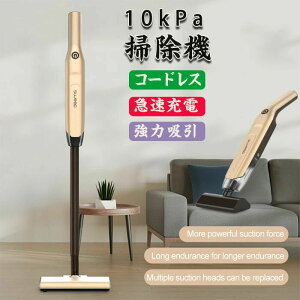 R[hX nfB|@ y 10Kpa͋z XeBbNN [i[ nfB dC|@  dC|@