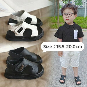 T_ j̎q q LbY ~ lC  ₷ w T_ y y ʋC 킢 qC w ct ǂ  lC 