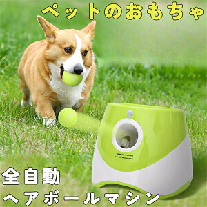 {[`[   {[ p {sb`  {[   @ 3ނ̔ˋ ^`^p mߋ  ߋ  {[ AEghA i[thbO 