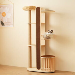 Lbg^[ L^[ Lbgc[ X 173.5cm u lR^[ 艺肵₷ ܂Ƃ|[ ؐ  qL ^L ybgpi 