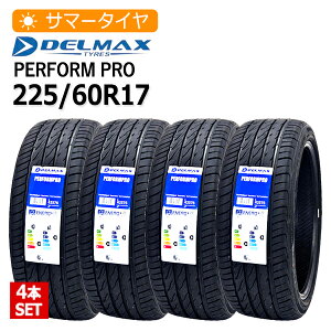 2025N 225/60R17 4{Zbg f}bNX(DELMAX) PERFORMPRO 4{z29,120~ T}[^C