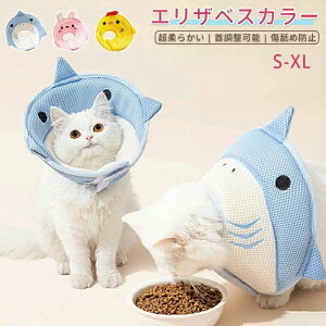 �y���������z�G���U�x�X�J���[ �L �� �y�b�g �\�t�g�^�C�v �p�� ���r�� �ʋC�����������Ȃ����r�ߖh�~ ���� �� �Ђ����� ���� �a�C ���� �P�K ��� ���킢�� �\�t�g ���߉\ �y�� �_�炩 �m