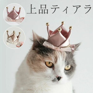 iŉeBA P vZX  L  ˂ a ߑ p[eB[ LO  ybg Xq nbg hbOEFA o[Xf[  L  C f  j ʐ^ B