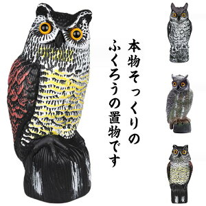  悯ObY ΍  ӂ낤  x_ u 悯 JX  񂪓 JX悯 Ƃ悯