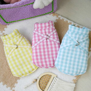  H~ hbOEFA  `FbN xXg R[g g ^ ObY {A hbOEFA sN u[ CG[ ȈՃn[lXt N h DJt ybgpi ybg